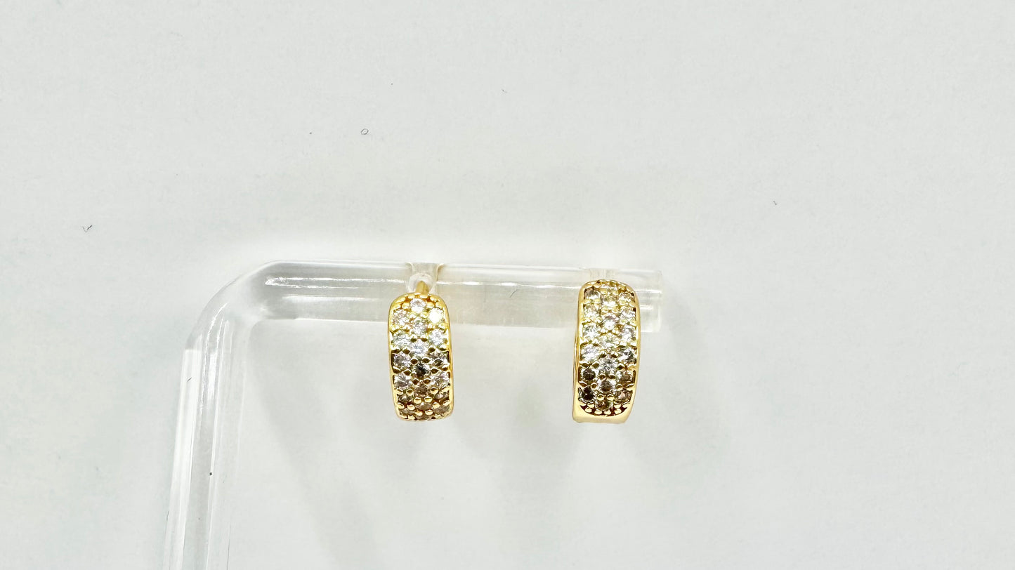 Small wide Micropave Hoop earring in Gold filled