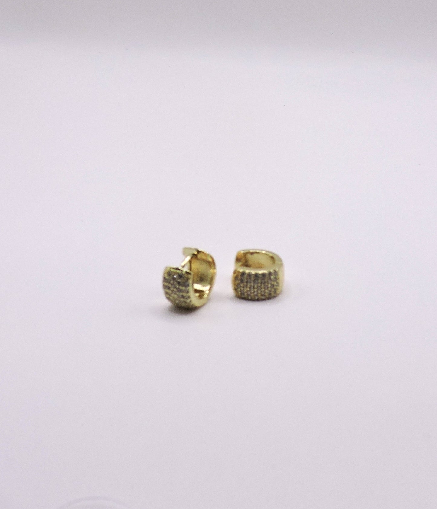 Small wide hoop earring in Micropave and Gold Filled